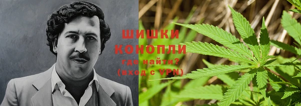 мяу мяу мука Белокуриха