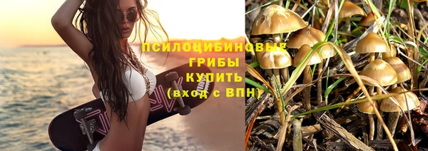 мяу мяу мука Белокуриха