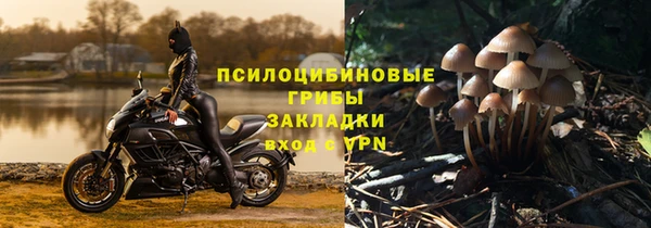 мяу мяу мука Белокуриха