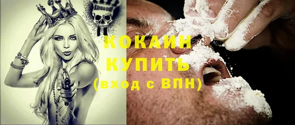 мяу мяу мука Белокуриха